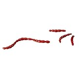 Berkley Gummiköder für Spinnangeln und Baitcastenangeln Gulp! Alive Bloodworm