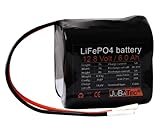 JuBaTec LiFePO4 Akku 12V 6Ah mit Batterie Management System (BMS) - leistungsstarker Akku-Pack - Lithium Eisenphosphat - Fast Charge
