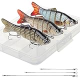 Realure 3 Stück Mehrgelenkige Hecht Köder mit 15cm 23cm 30cm Drahtspuren Hecht Angelköder Sets 3D Kunstköder Wobbler Langsam Sinkender...