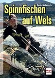 Spinnfischen auf Wels