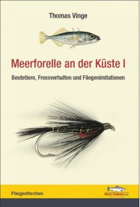 Meerforelle an der Küste I North Guiding: Meerforelle an der Küste