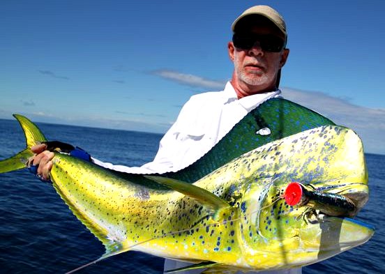 Photo of Big Game Fishing in Panama