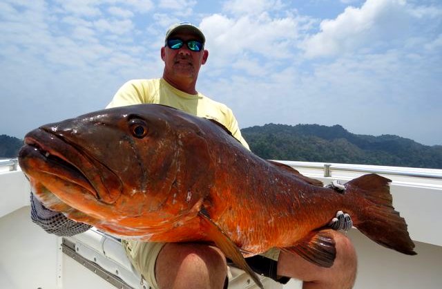 Photo of Big Game Fishing in Panama im Frühjahr 2013