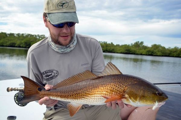 Die Everglades - schöne Fische mit deutlich weniger Fischereidruck