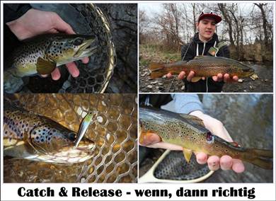 Fisch-Handling und Catch and Release