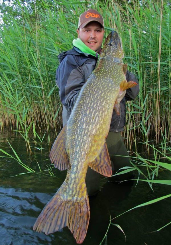 Detailierte Informationen zum Hecht