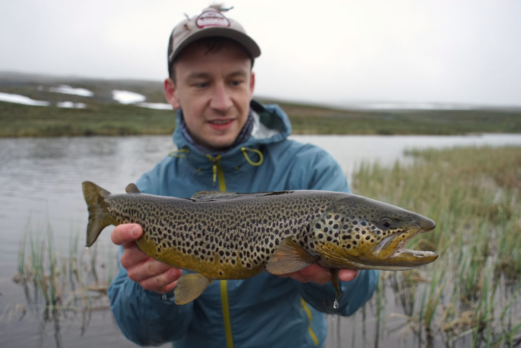 Fliegenfischen auf Bachforellen in Lappland