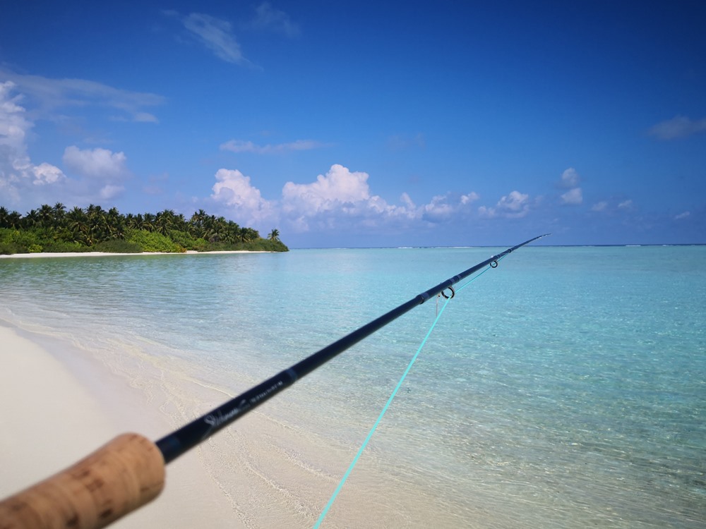 Fliegenfischen Malediven auf Ausflugsinsel