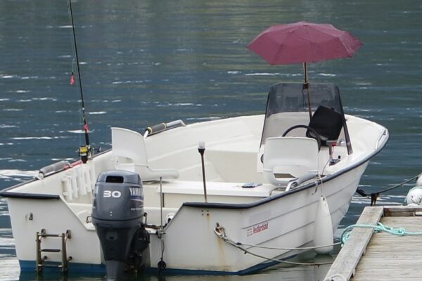 Akkus auf dem Boot richtig anschließen