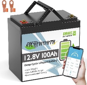 TCB WORTH 12V/100Ah MINI TCB WORTH 12V/100Ah MINI im Test