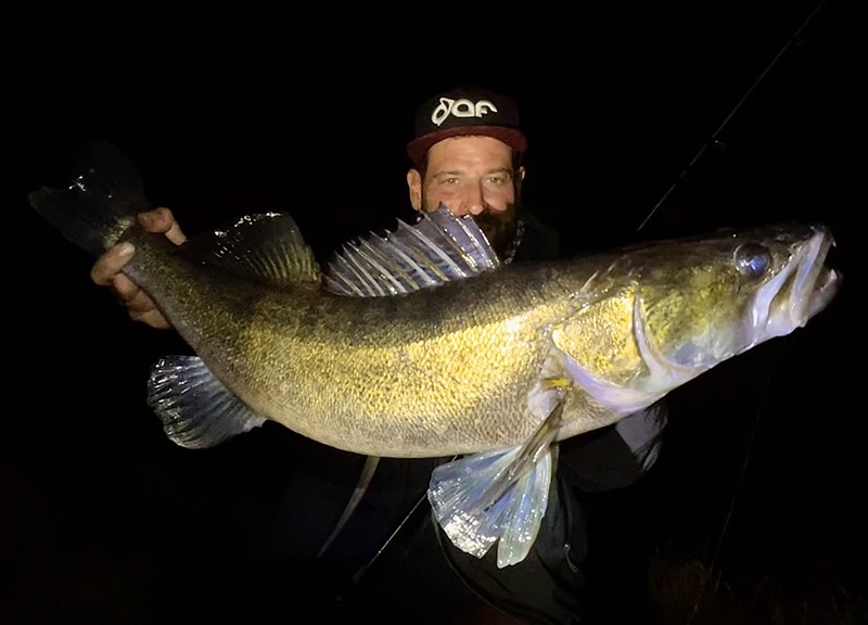 ausrüstung-beim-nachtangeln Zander im Dunkeln