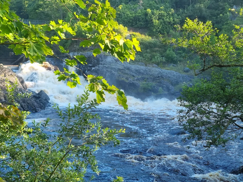 Die besten Bedingungen hat man am Örekil im Sommer, wenn nach ordentlich Regen viel Wasser im Fluss ist. Lachsangeln im Örekil