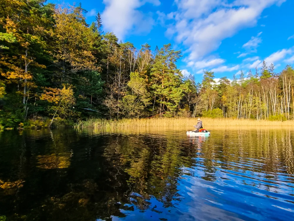 Solche lauschigen Hecht-Ecken gibt es in Dalsland tausende. Häufig perfekt zu erreichen und zu befischen mit dem Belly-Boot. Hechtangeln in Dalsland